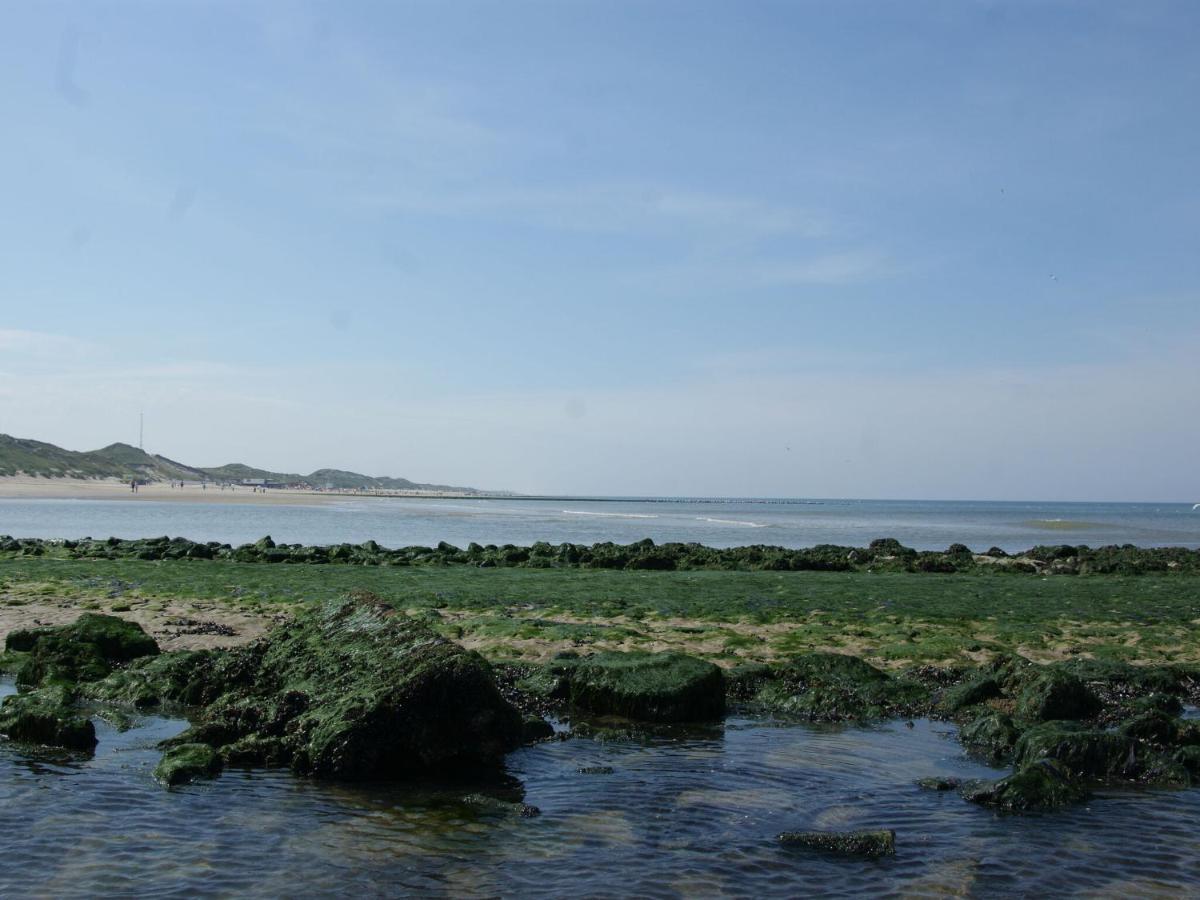 Romantic Holiday Home In Schoorl Near The Sea 外观 照片
